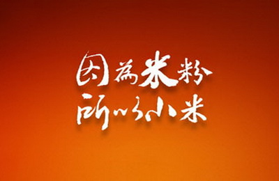 一個(gè)米粉節(jié)，小米銷售額破18億元!其實(shí)你也可以做到